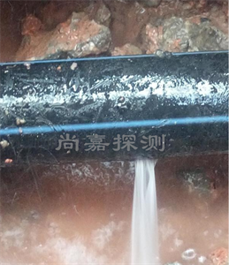 天心消防管道漏点探测